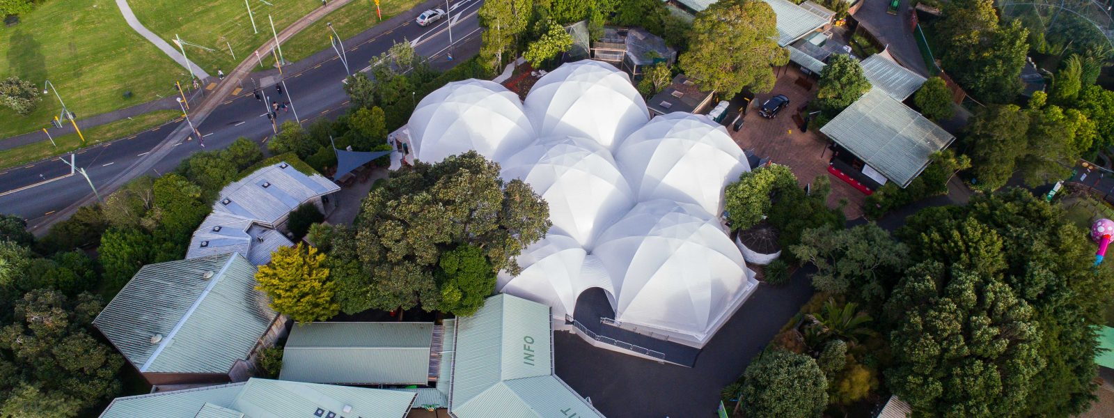 BUG LAB – AUCKLAND ZOO