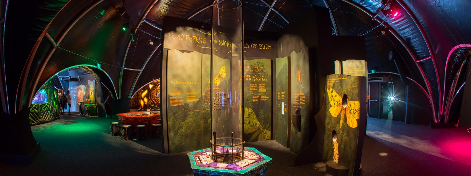BUG LAB – AUCKLAND ZOO - Interior