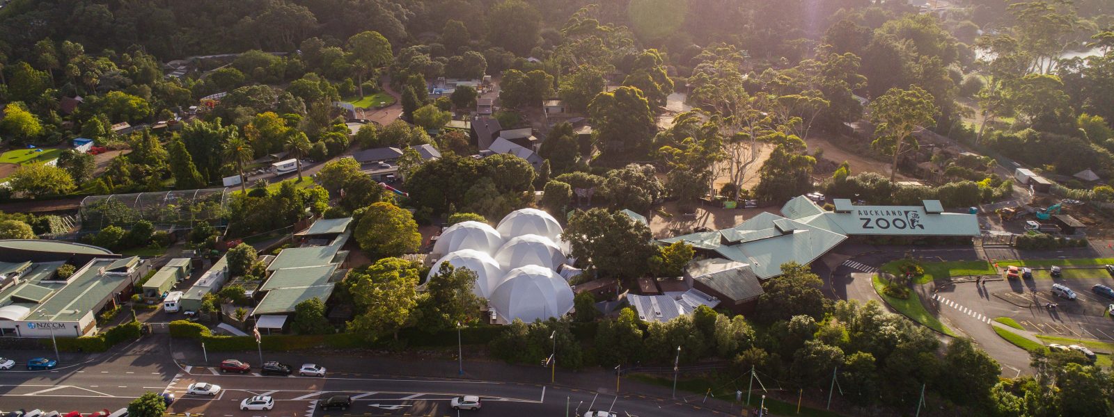 BUG LAB – AUCKLAND ZOO - Skyview