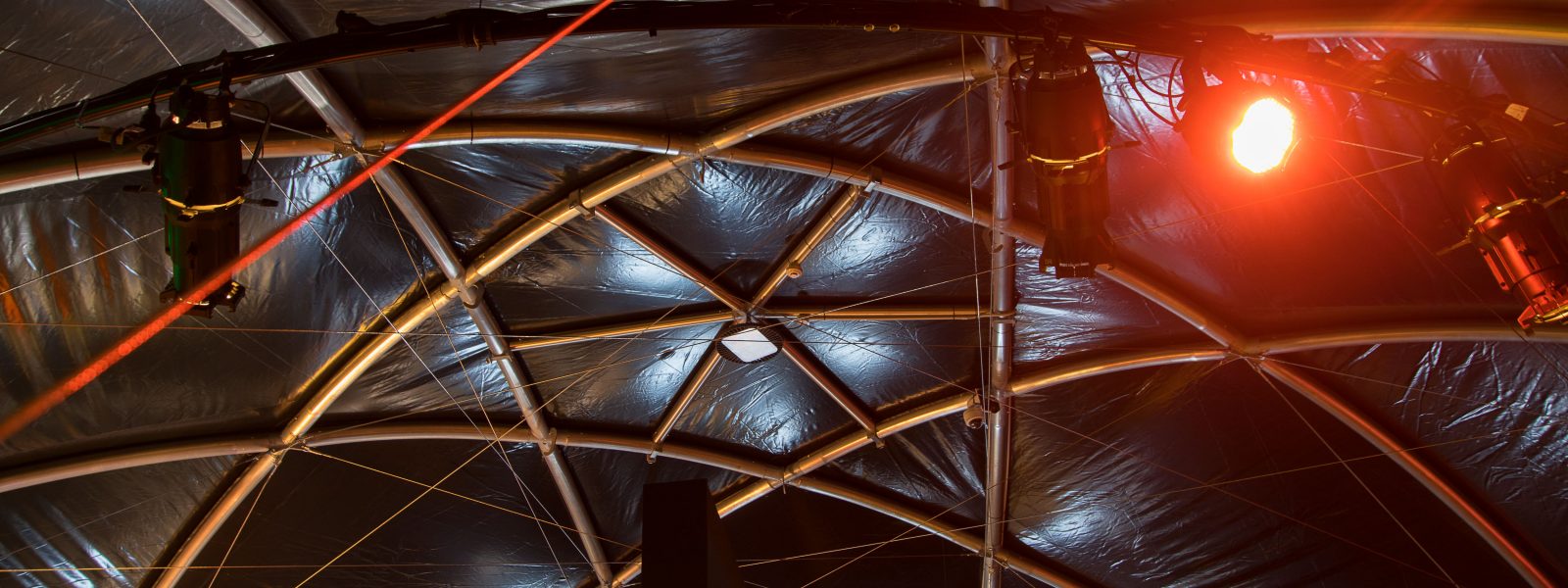 BUG LAB – AUCKLAND ZOO centre-roof-structure