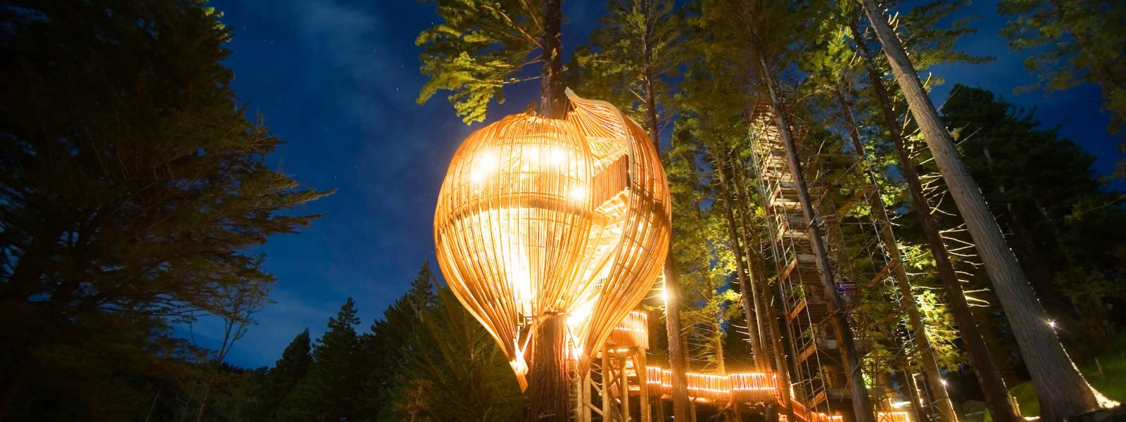 Treehouse-nighttime-#1- Treehouse-nighttime-#1-